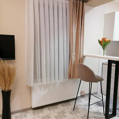 Apartament Savić