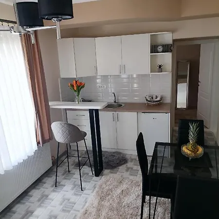 Savic 巴伊纳巴什塔