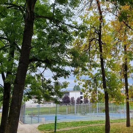 Savic 巴伊纳巴什塔