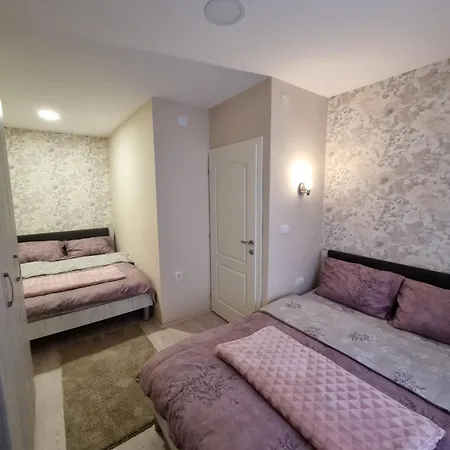 Savic * 巴伊纳巴什塔